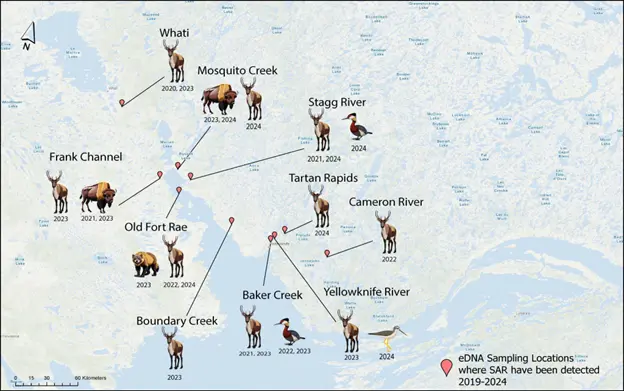 Sampling locations where Species at Risk have been detected 2019-2024 (Map: NSMA)